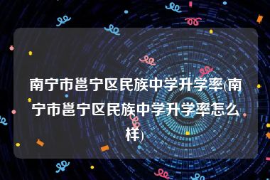 南宁市邕宁区民族中学升学率(南宁市邕宁区民族中学升学率怎么样)