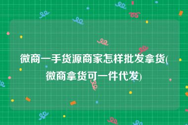 微商一手货源商家怎样批发拿货(微商拿货可一件代发)