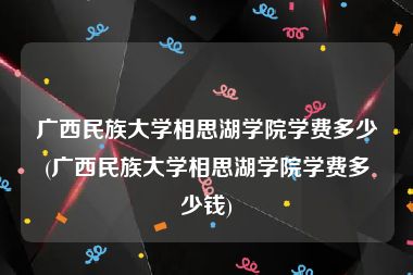 广西民族大学相思湖学院学费多少(广西民族大学相思湖学院学费多少钱)