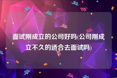 面试刚成立的公司好吗(公司刚成立不久的适合去面试吗)