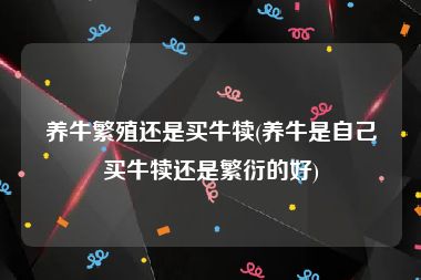 养牛繁殖还是买牛犊(养牛是自己买牛犊还是繁衍的好)