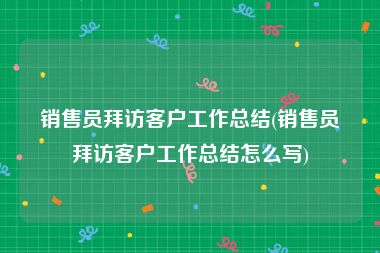 销售员拜访客户工作总结(销售员拜访客户工作总结怎么写)