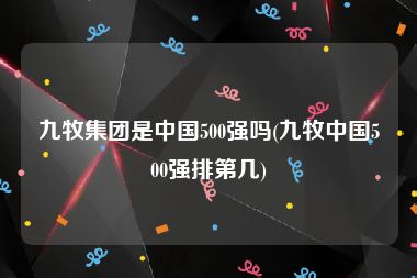 九牧集团是中国500强吗(九牧中国500强排第几)