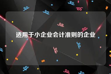 适用于小企业会计准则的企业