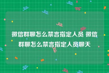 微信群聊怎么禁言指定人员 微信群聊怎么禁言指定人员聊天