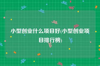 小型创业什么项目好(小型创业项目排行榜)