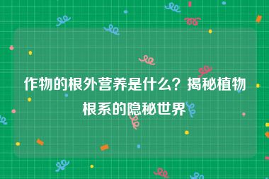 作物的根外营养是什么？揭秘植物根系的隐秘世界