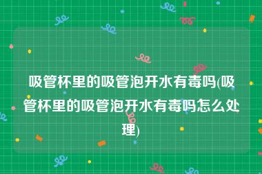 吸管杯里的吸管泡开水有毒吗(吸管杯里的吸管泡开水有毒吗怎么处理)