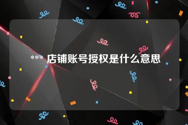  *** 店铺账号授权是什么意思