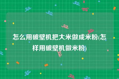 怎么用破壁机把大米做成米粉(怎样用破壁机做米粉)