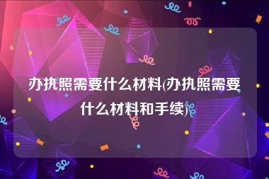 办执照需要什么材料(办执照需要什么材料和手续)