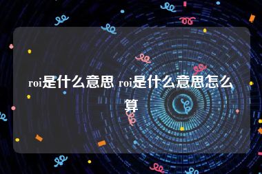 roi是什么意思 roi是什么意思怎么算