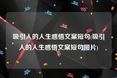 吸引人的人生感悟文案短句(吸引人的人生感悟文案短句图片)