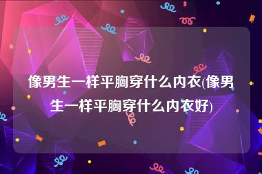 像男生一样平胸穿什么内衣(像男生一样平胸穿什么内衣好)