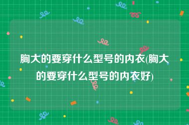 胸大的要穿什么型号的内衣(胸大的要穿什么型号的内衣好)