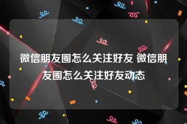 微信朋友圈怎么关注好友 微信朋友圈怎么关注好友动态