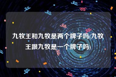 九牧王和九牧是两个牌子吗(九牧王跟九牧是一个牌子吗)