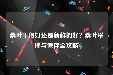 桑叶干得好还是新鲜的好？桑叶采摘与保存全攻略