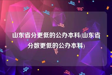 山东省分更低的公办本科(山东省分数更低的公办本科)