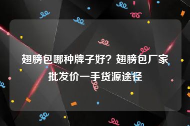 翅膀包哪种牌子好？翅膀包厂家批发价一手货源途径