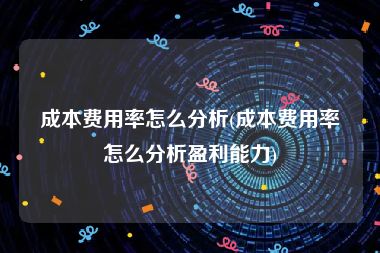 成本费用率怎么分析(成本费用率怎么分析盈利能力)