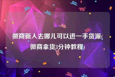 微商新人去哪儿可以进一手货源(微商拿货3分钟教程)