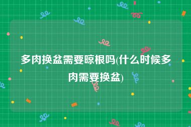 多肉换盆需要晾根吗(什么时候多肉需要换盆)