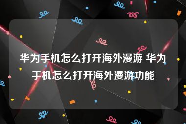 华为手机怎么打开海外漫游 华为手机怎么打开海外漫游功能