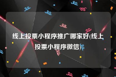 线上投票小程序推广哪家好(线上投票小程序微信)