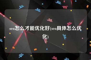 seo怎么才能优化好(seo具体怎么优化)