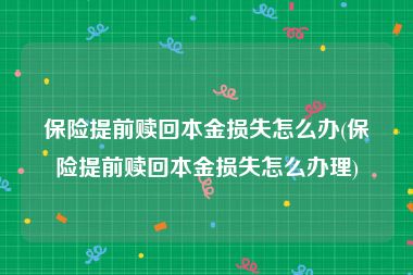 保险提前赎回本金损失怎么办(保险提前赎回本金损失怎么办理)