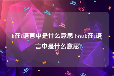 b在c语言中是什么意思 break在c语言中是什么意思