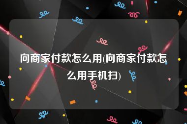 向商家付款怎么用(向商家付款怎么用手机扫)