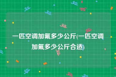 一匹空调加氟多少公斤(一匹空调加氟多少公斤合适)