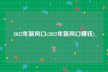 2022年新风口(2022年新风口赚钱)