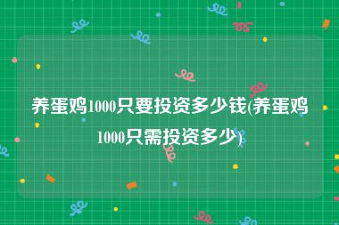 养蛋鸡1000只要投资多少钱(养蛋鸡1000只需投资多少)