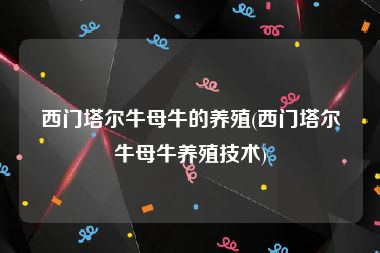 西门塔尔牛母牛的养殖(西门塔尔牛母牛养殖技术)