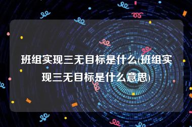 班组实现三无目标是什么(班组实现三无目标是什么意思)