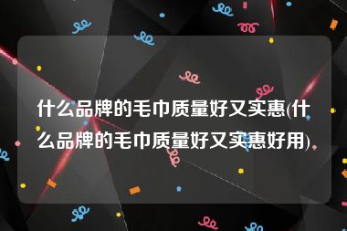 什么品牌的毛巾质量好又实惠(什么品牌的毛巾质量好又实惠好用)