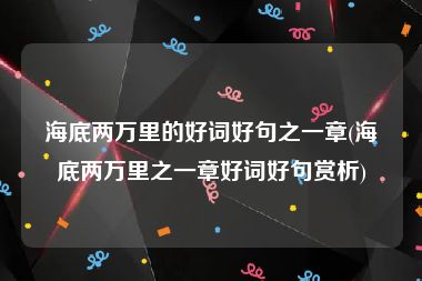 海底两万里的好词好句之一章(海底两万里之一章好词好句赏析)