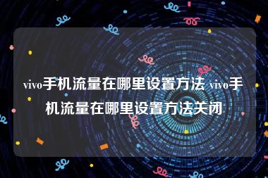 vivo手机流量在哪里设置方法 vivo手机流量在哪里设置方法关闭