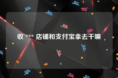 收 *** 店铺和支付宝拿去干嘛