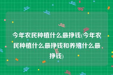 今年农民种植什么最挣钱(今年农民种植什么最挣钱和养殖什么最挣钱)