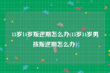 13岁14岁叛逆期怎么办(13岁14岁男孩叛逆期怎么办)