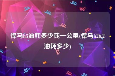 悍马h3油耗多少钱一公里(悍马h26.2油耗多少)