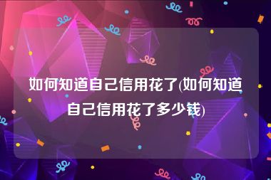 如何知道自己信用花了(如何知道自己信用花了多少钱)