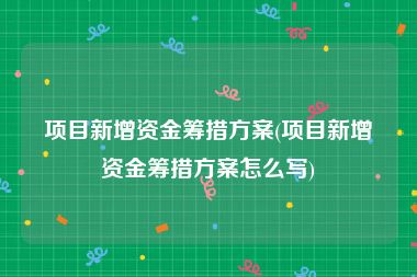 项目新增资金筹措方案(项目新增资金筹措方案怎么写)