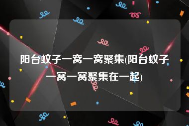 阳台蚊子一窝一窝聚集(阳台蚊子一窝一窝聚集在一起)