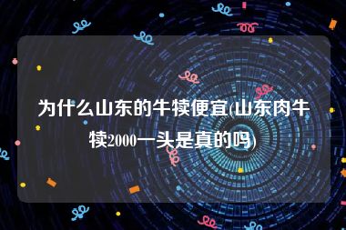 为什么山东的牛犊便宜(山东肉牛犊2000一头是真的吗)