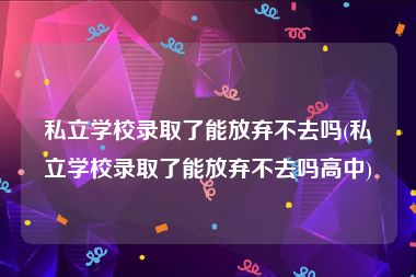 私立学校录取了能放弃不去吗(私立学校录取了能放弃不去吗高中)